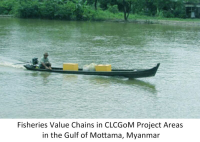 Fisheries Value Chains in CLCGoM Project Areas in the Gulf of  Mottama, Myanmar