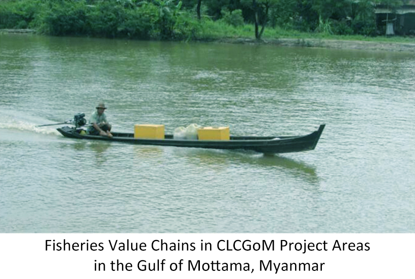 Fisheries Value Chains in CLCGoM Project Areas in the Gulf of  Mottama, Myanmar