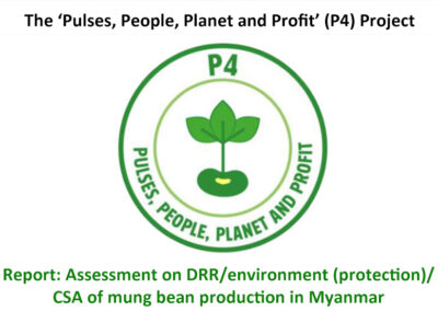 Report: Assessment on DRR/environment  (protection)/CSA of mung bean production  in Myanmar
