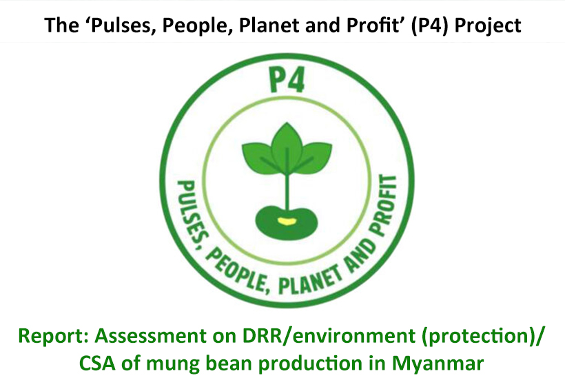 Report: Assessment on DRR/environment  (protection)/CSA of mung bean production  in Myanmar